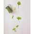 Mobile Ginkgo